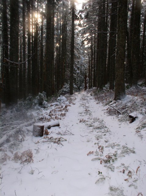 11.27.05 Nesmith Point 082 